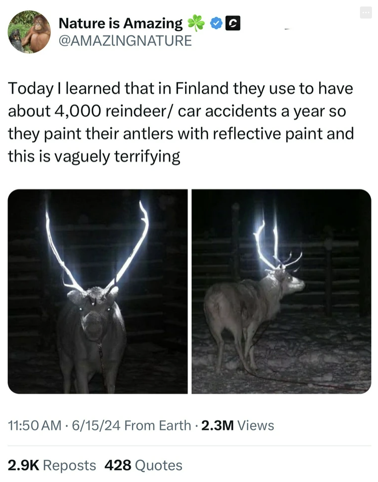 reindeer - Nature is Amazing Today I learned that in Finland they use to have about 4,000 reindeer car accidents a year so they paint their antlers with reflective paint and this is vaguely terrifying 61524 From Earth 2.3M Views Reposts 428 Quotes